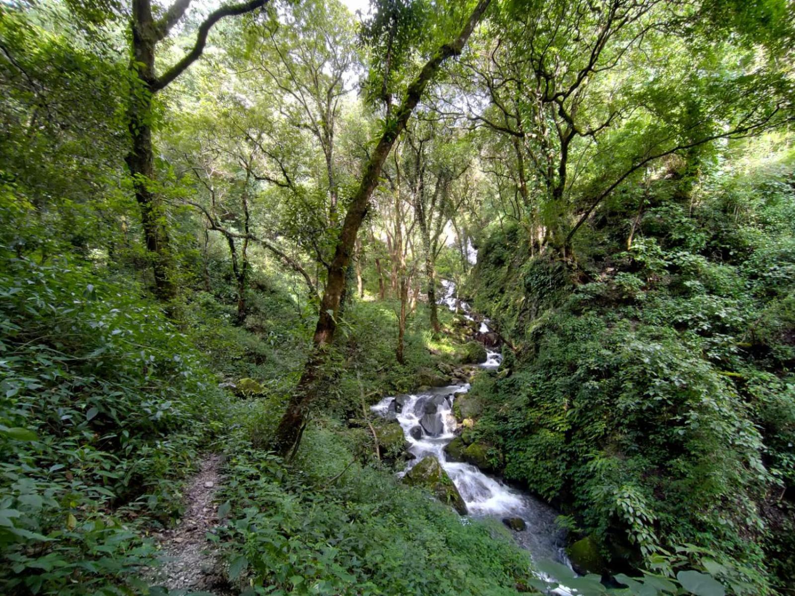 נייניטל Valley View Camps &Cottages Nature Heights מראה חיצוני תמונה